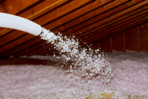 Best Cellulose Insulation  in Southgate, MI