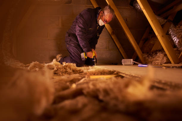 Best Insulation Replacement Services  in Southgate, MI